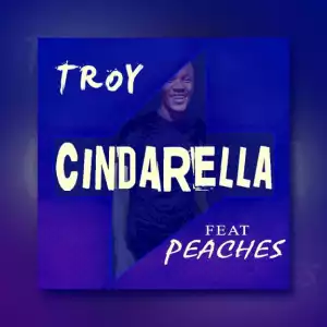 Dj Troy - Cindarella Feat Peaches